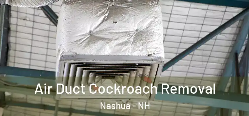  Air Duct Cockroach Removal Nashua - NH