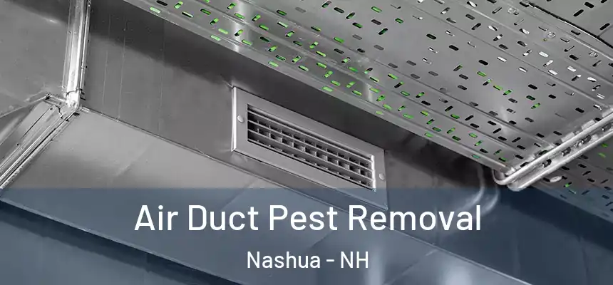 Air Duct Pest Removal Nashua - NH