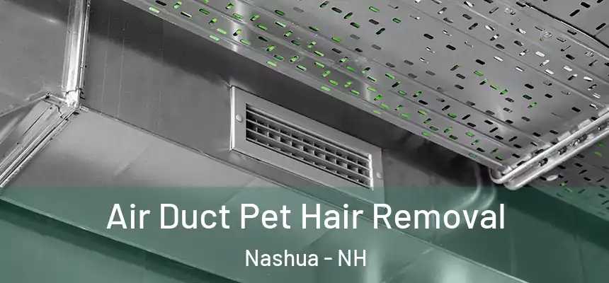  Air Duct Pet Hair Removal Nashua - NH
