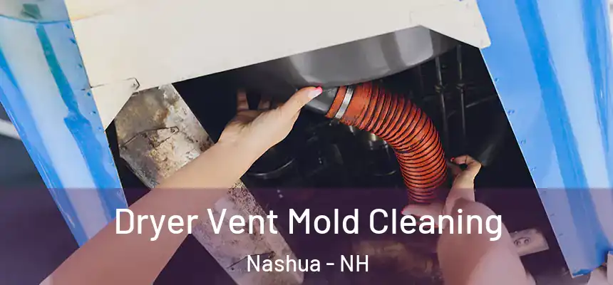Dryer Vent Mold Cleaning Nashua - NH