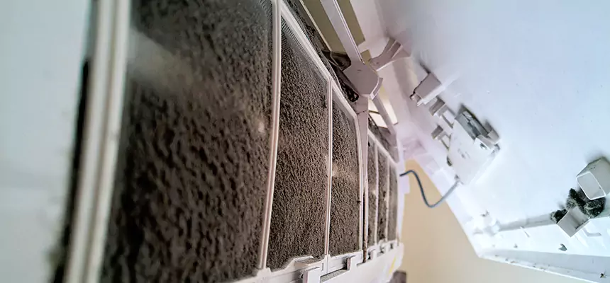 Preventive Air Duct Bacteria Removal in Nashua