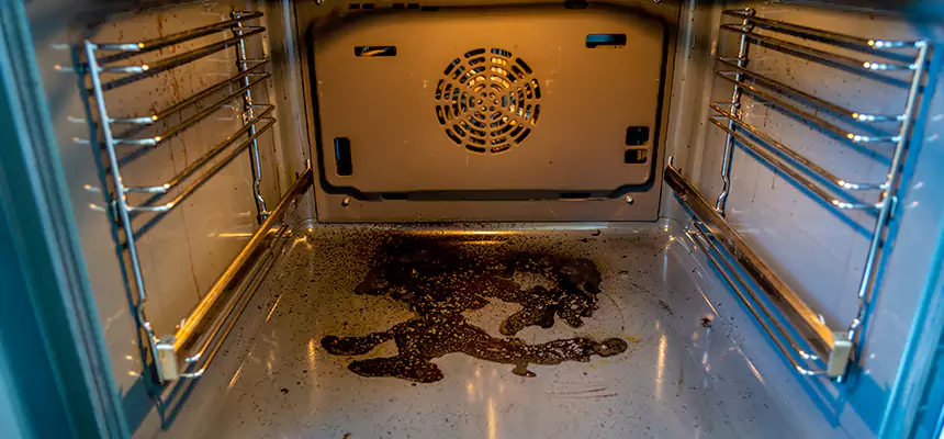 Our Dryer Vent Mold Cleaning Services in Nashua, NH