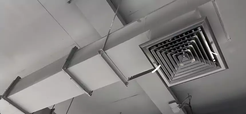 Our Rodent Droppings In Vents Services in Nashua, NH