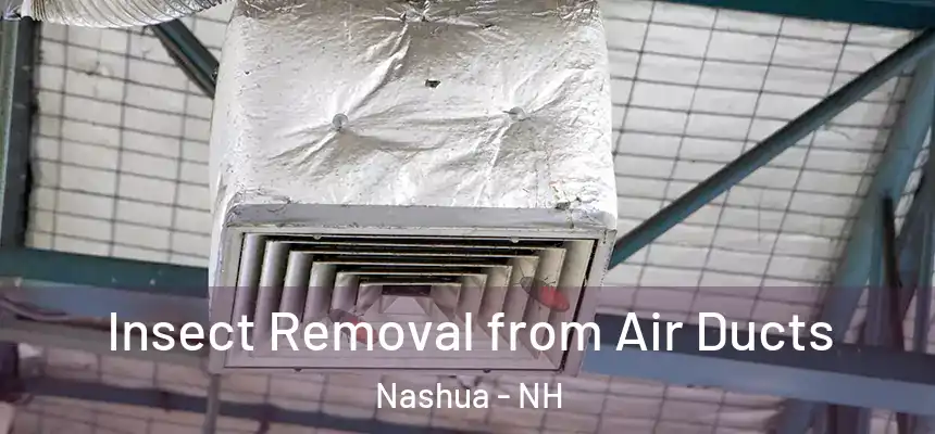 Insect Removal from Air Ducts Nashua - NH