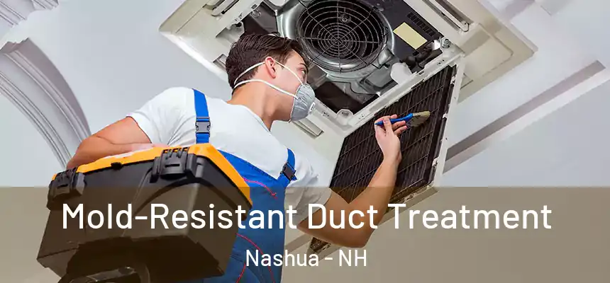  Mold-Resistant Duct Treatment Nashua - NH
