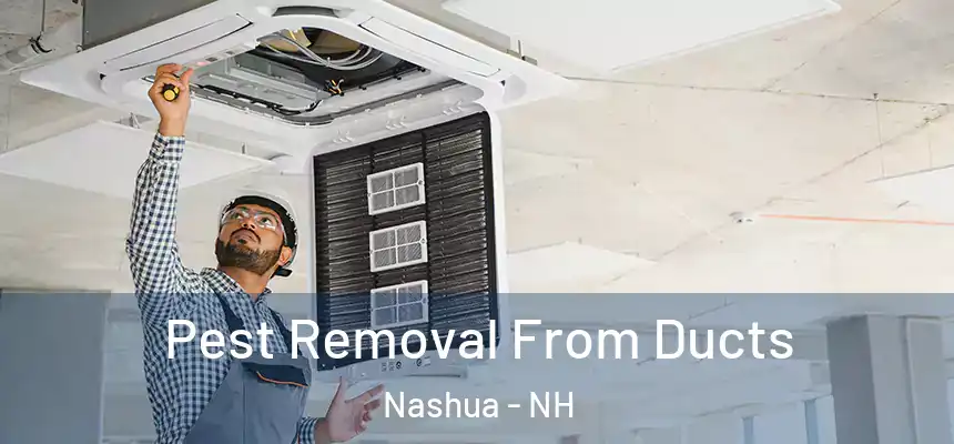 Pest Removal From Ducts Nashua - NH