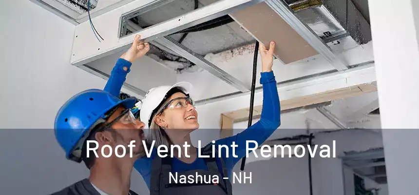 Roof Vent Lint Removal Nashua - NH