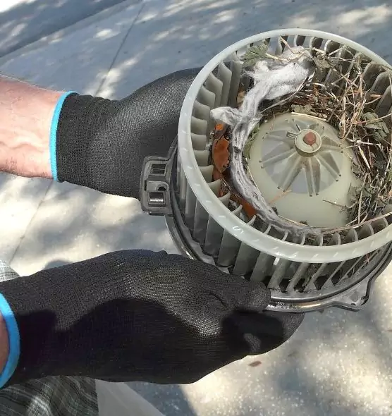 About Air Duct Mice Removal in Nashua, NH