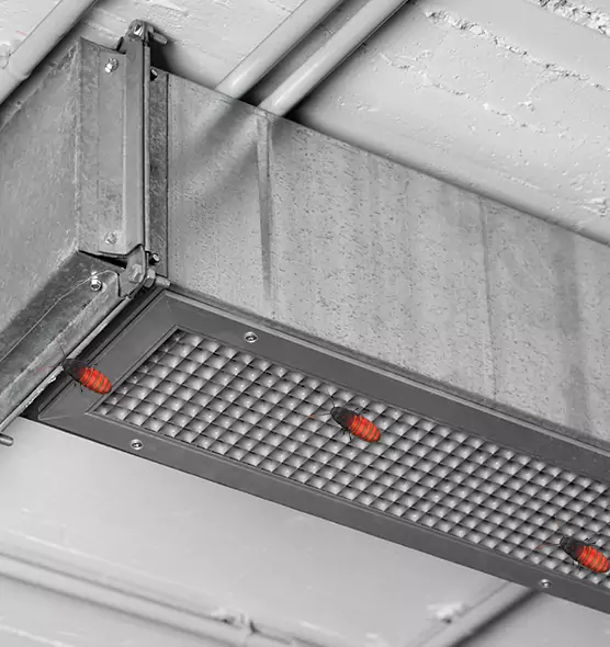 Affordable Insect Removal from Air Ducts in Nashua, NH