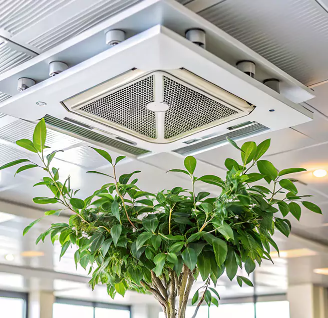 Why Homeowners & Businesses Trust Us in Nashua, NH?